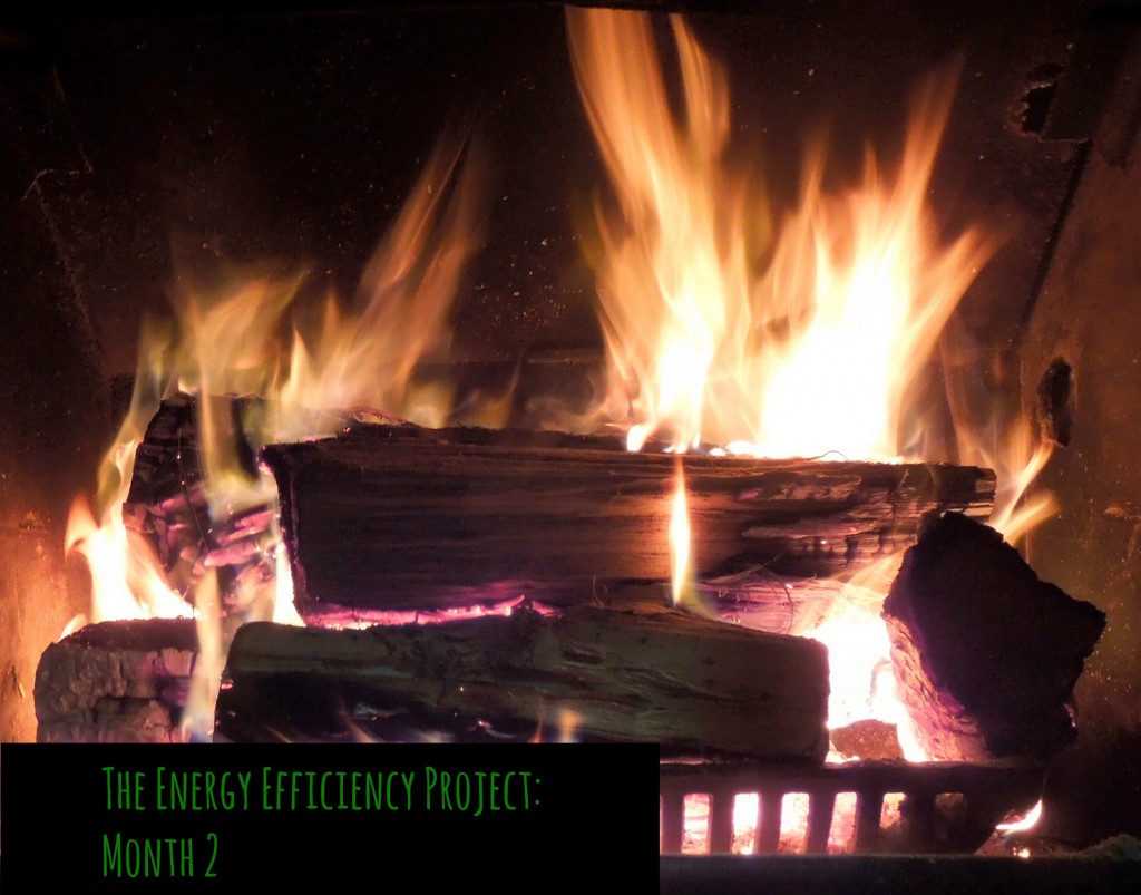 energy efficiency project month 2