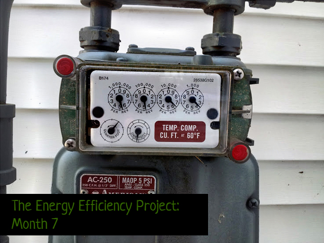 energy efficiency project 