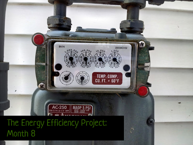 Energy Efficiency Project month 8